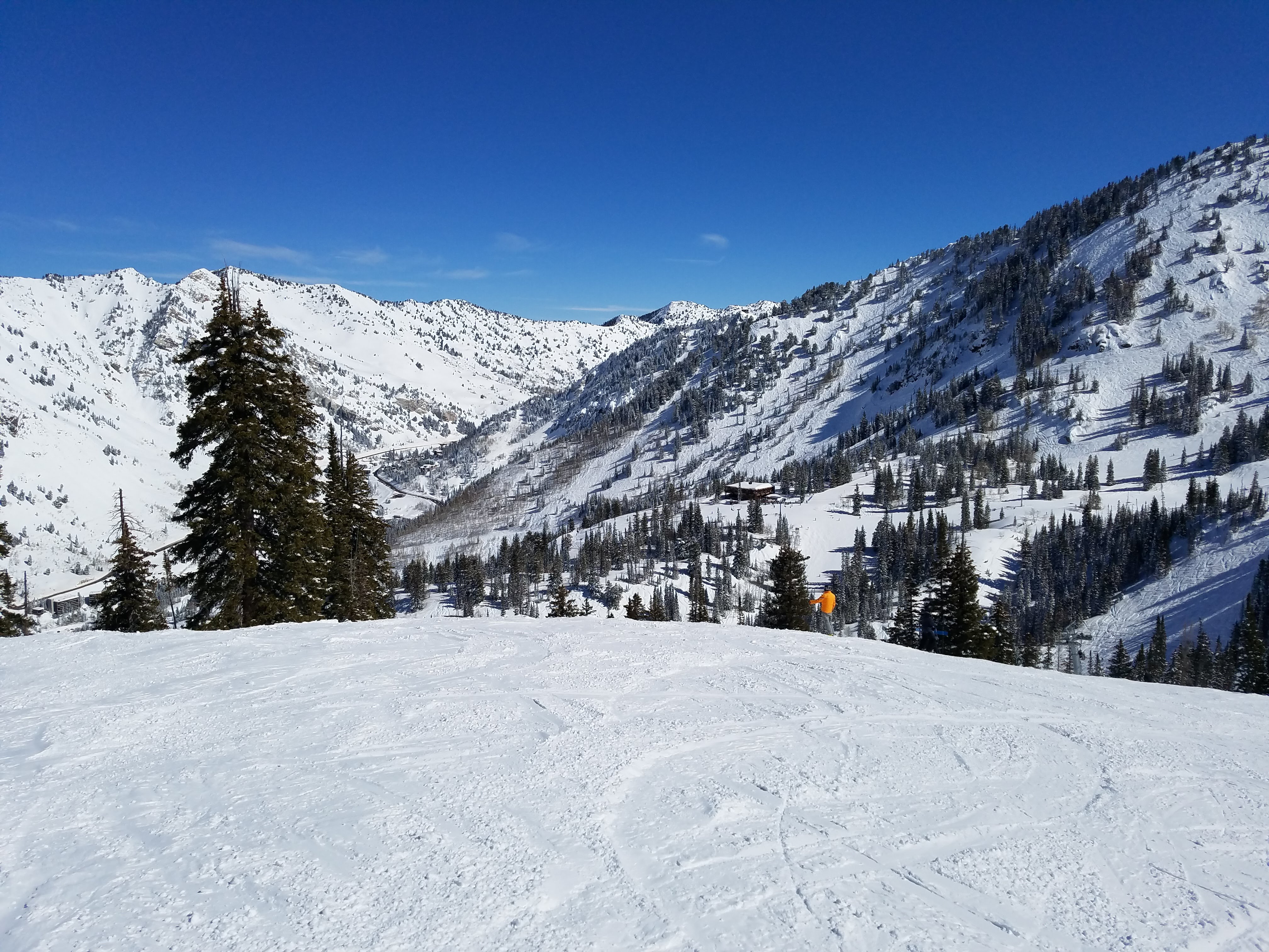 Ski Trips